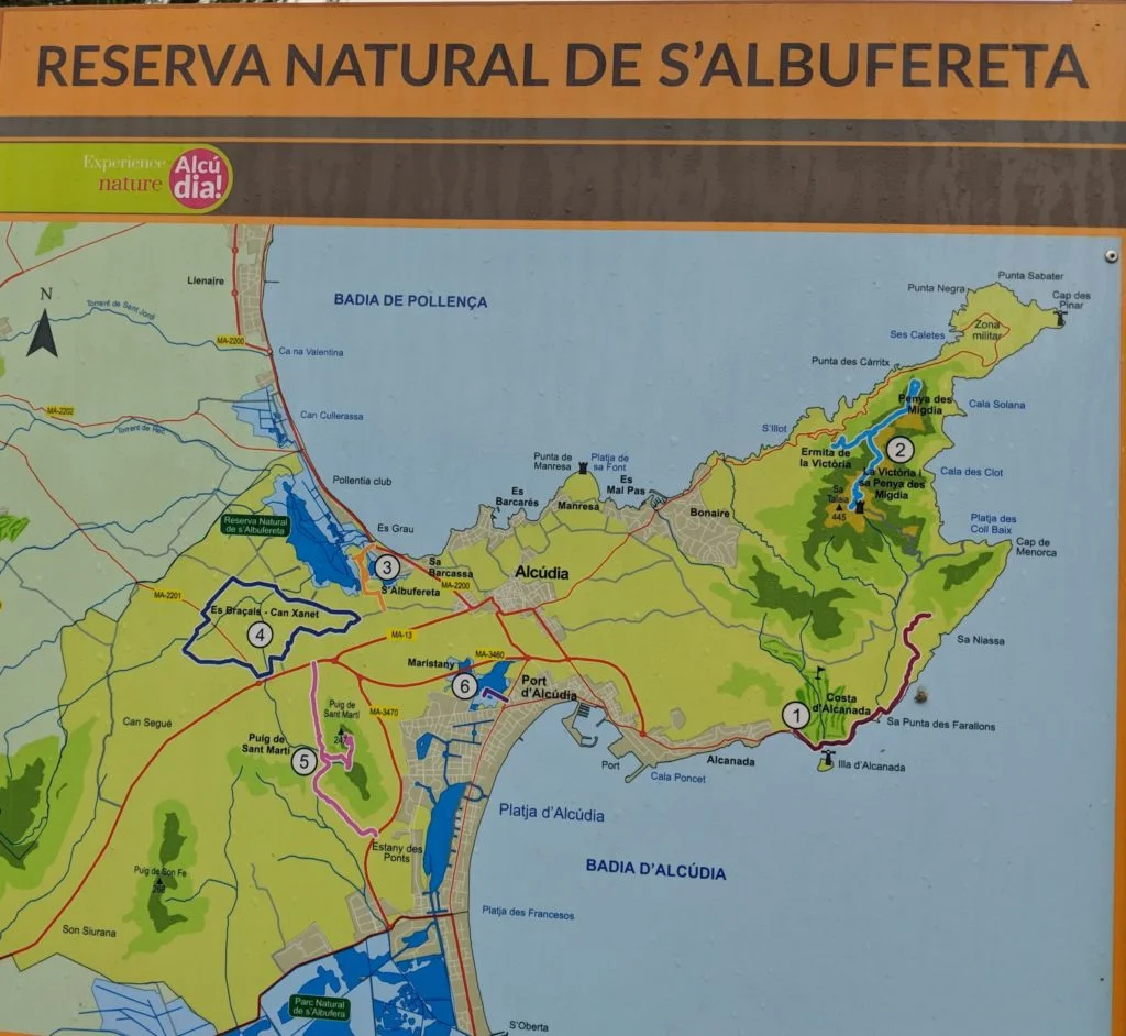 Rutas Albufereta Mallorca